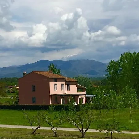 Holiday home Al Fiorentino Lucca